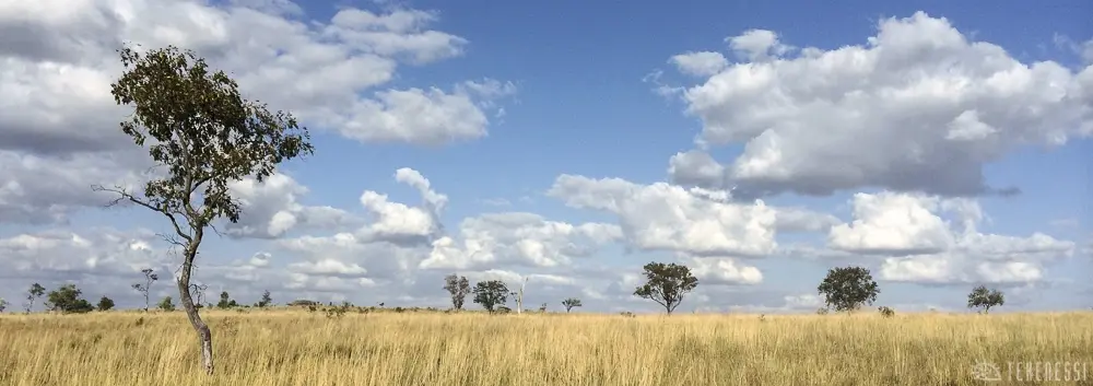 iPhone et photographie : un trek avec un iPhone 5s, mon expérience dans le Makay