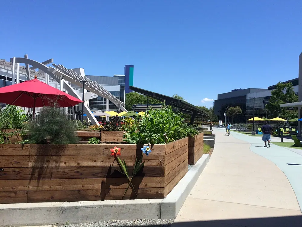 #WWDC : road-trip dans la Silicon Valley (Campus 2, Google, Facebook...) - Photos