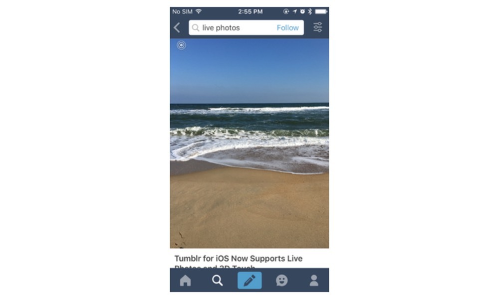 Tumblr devient le premier réseau social à prendre en charge les Live Photos