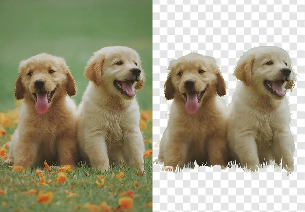 Aiarty Image Matting&nbsp;: supprimer l&rsquo;arri&egrave;re-plan d&rsquo;une photo en un clic avec l'IA (offre P&acirc;ques -50%)