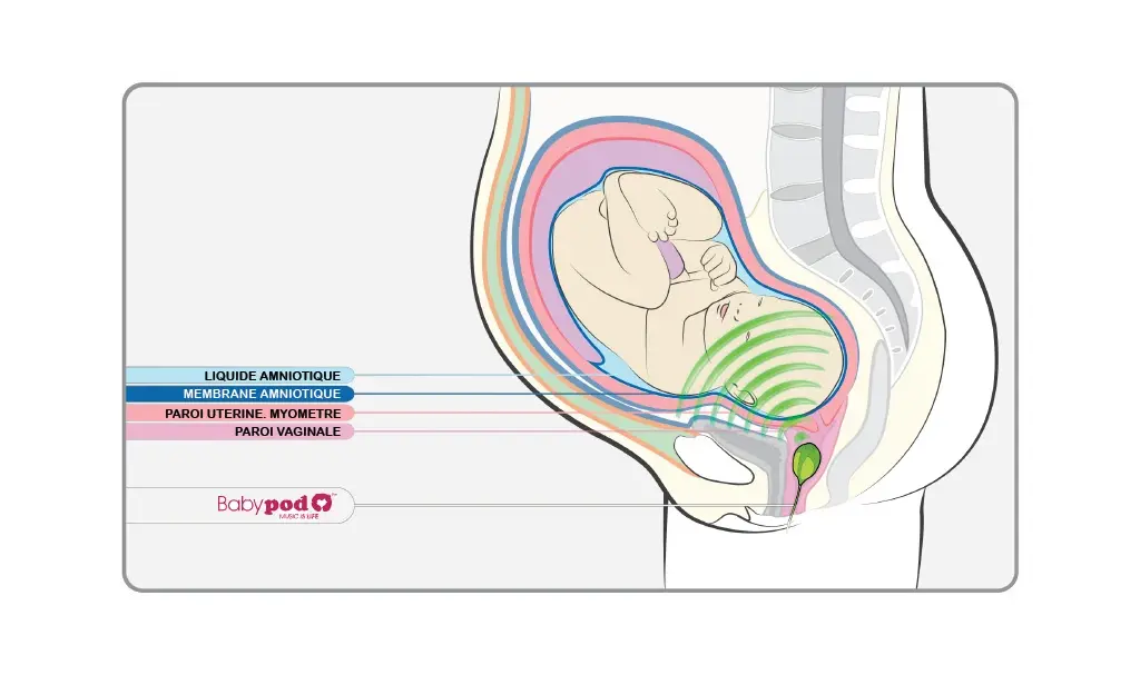 BabyPod : un "tampon musical" pour que bébé écoute les chansons de votre iPod