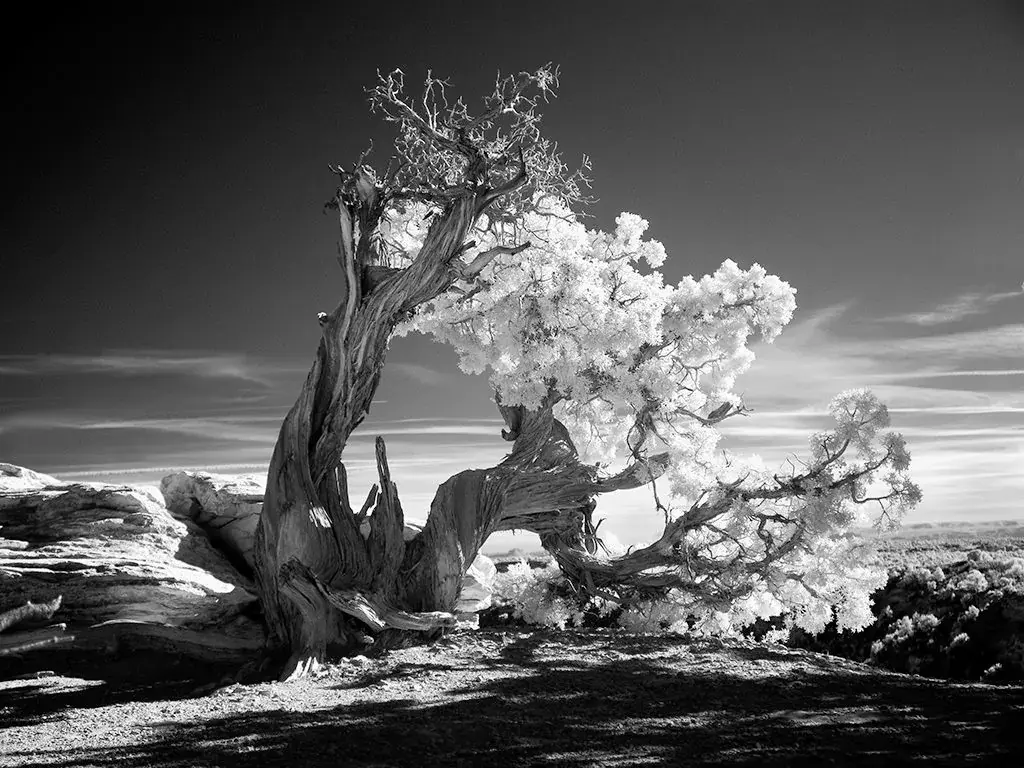 Exclu : Apple a choisi 5 photos de Mitch Dobrowner pour l'Apple TV (exposées à Paris)