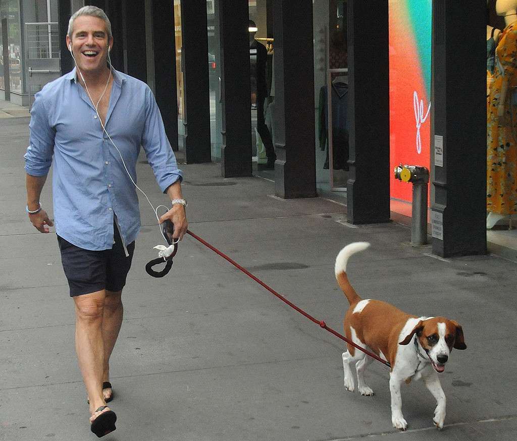 People : Ariana Grande, Andy Cohen, Jamie Foxx et Emily Ratajkowski