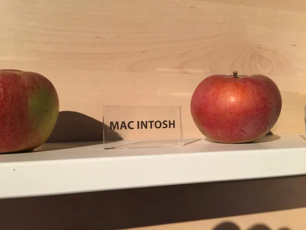 L'image du jour : voilà à quoi ressemble une pomme McIntosh (dans un "Apple Store")