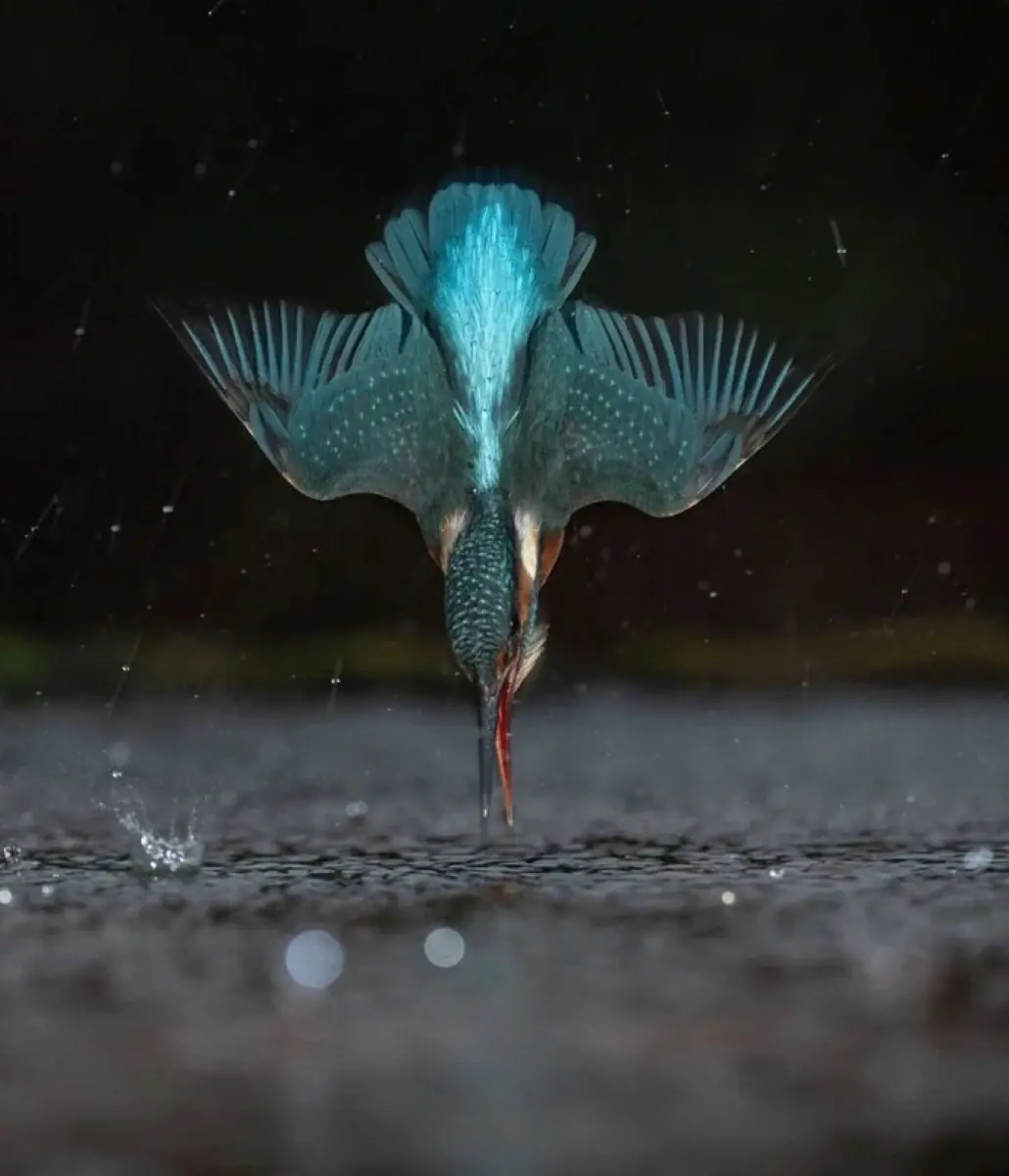 Voilà la version de 2025 !