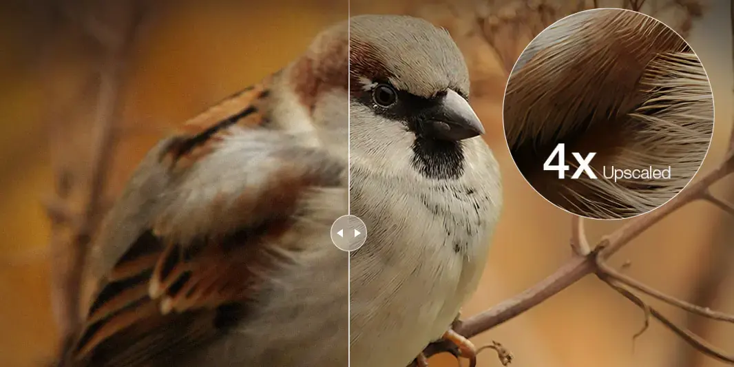 VideoProc Converter AI propose des promos monstres (–61%) pour le Black Friday