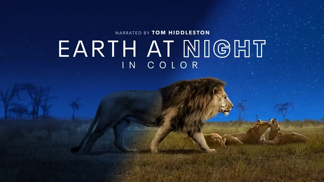 TV+ : "Terre, les couleurs nocturnes", narrée par Tom Hiddleston, sortira le 4/12 [vidéo]