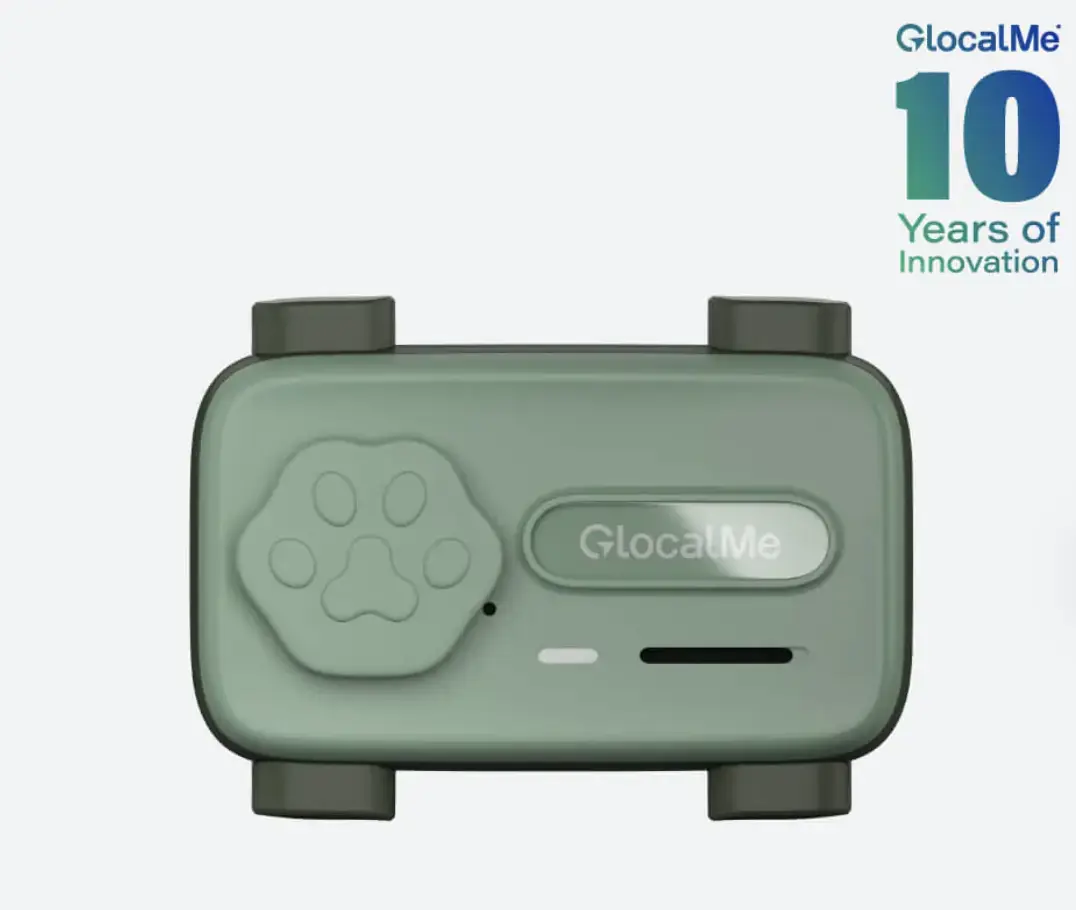 En 2026, les chiens aussi ont droit &agrave; leur smartphone&nbsp;!