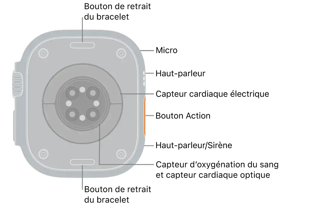 actuelle disposition des capteurs de l'Apple Watch Ultra 3