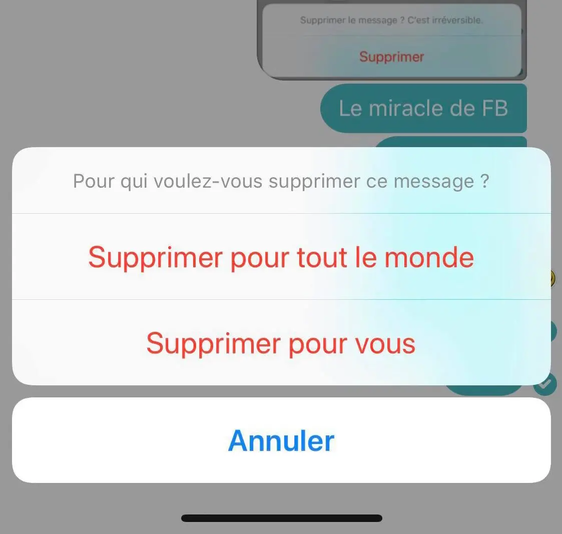 Facebook Messenger : la suppression des messages est enfin activée (avec un fantôme)