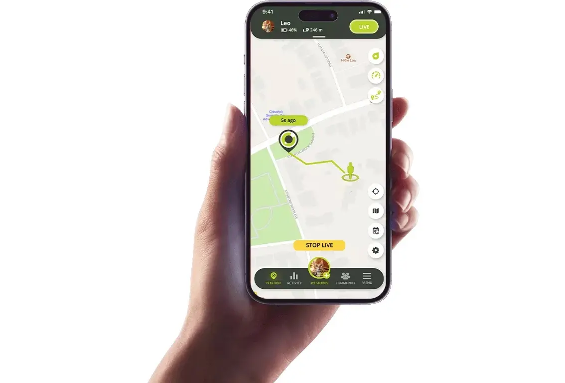 Le collier GPS Kippy spécial chats est dispo en France