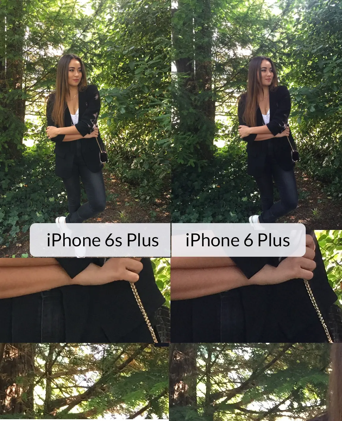 Comparatif : le capteur de 12MP de l'iPhone 6s face aux 8MP de l'iPhone 6