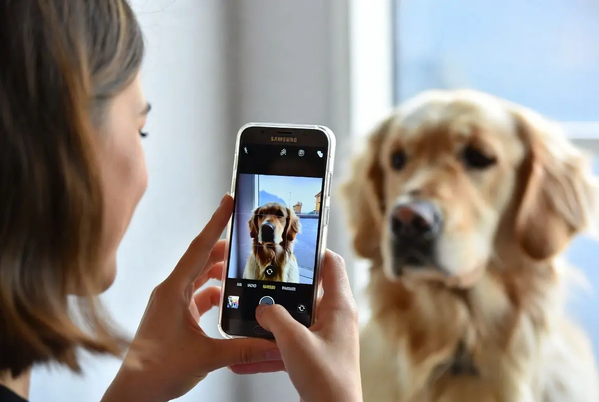 Samsung veut rep&eacute;rer les soucis de sant&eacute; de votre chien avec une simple photo