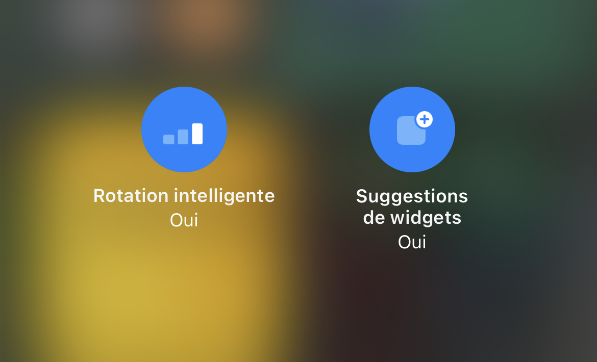 Nouveautés iOS/iPadOS 15 bêta 4 : Safari, Concentration, nouvelles icônes