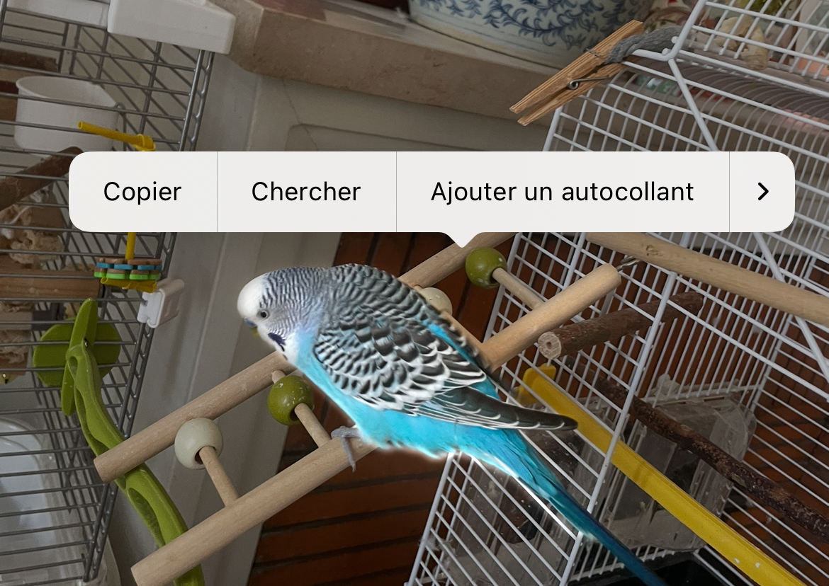 iOS 17 : comment transformer ses photos en autocollants animés avec son iPhone ?