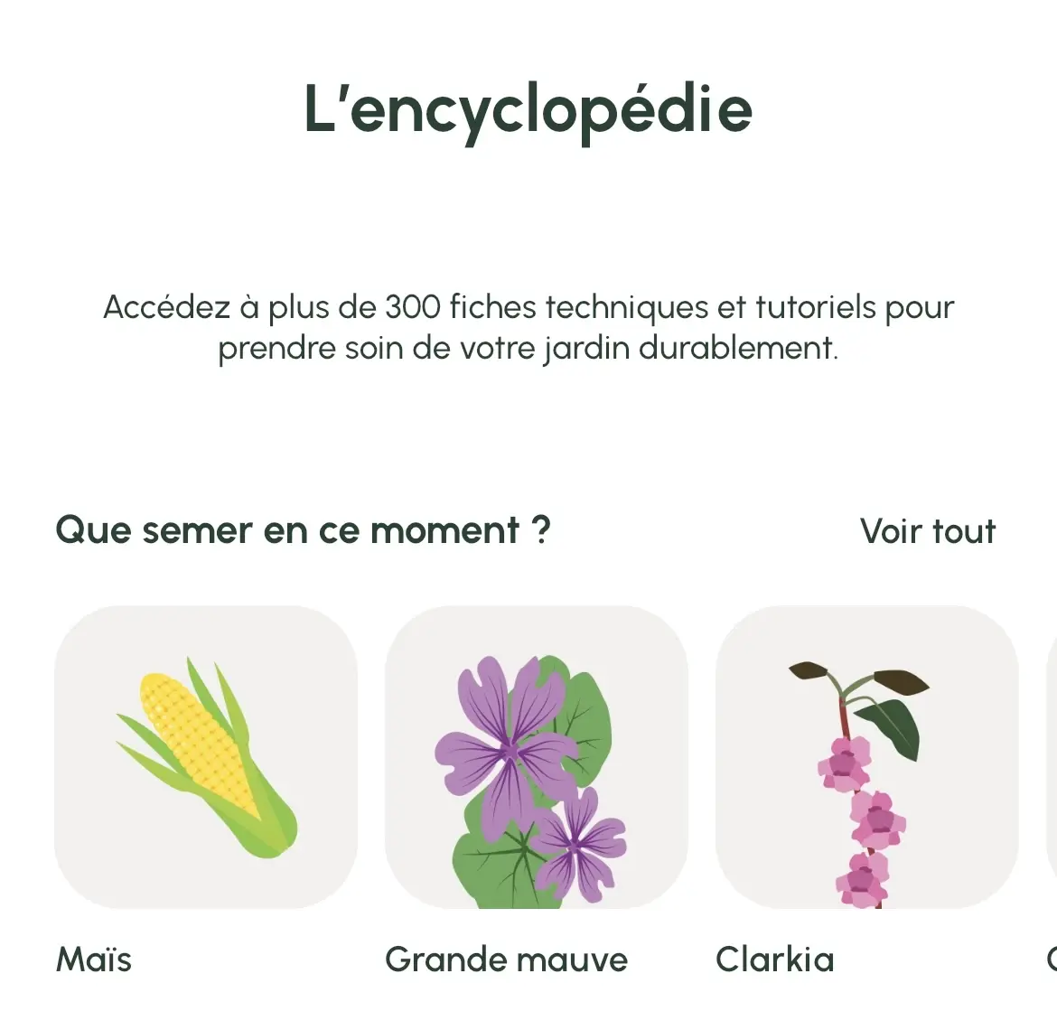 Dr. Jonquille & Mr. Ail, une app pour un jardin responsable