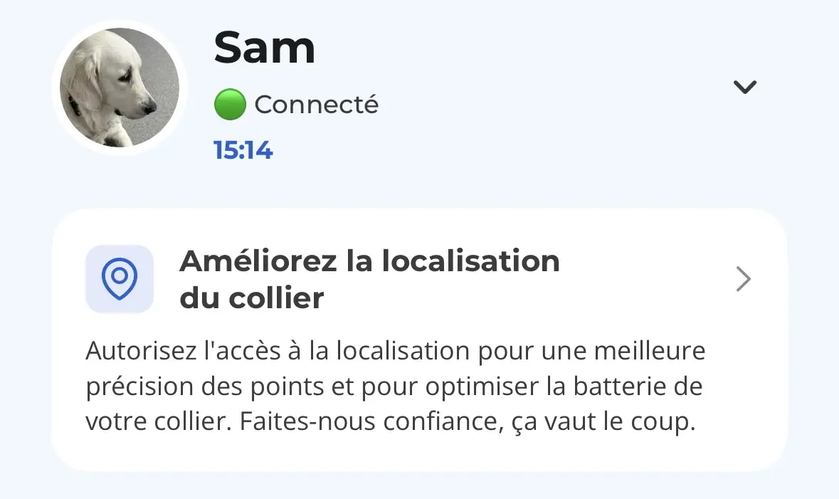 Le tracker Minitailz (IA) d’Invoxia révolutionne le suivi santé de votre chien #CES2024