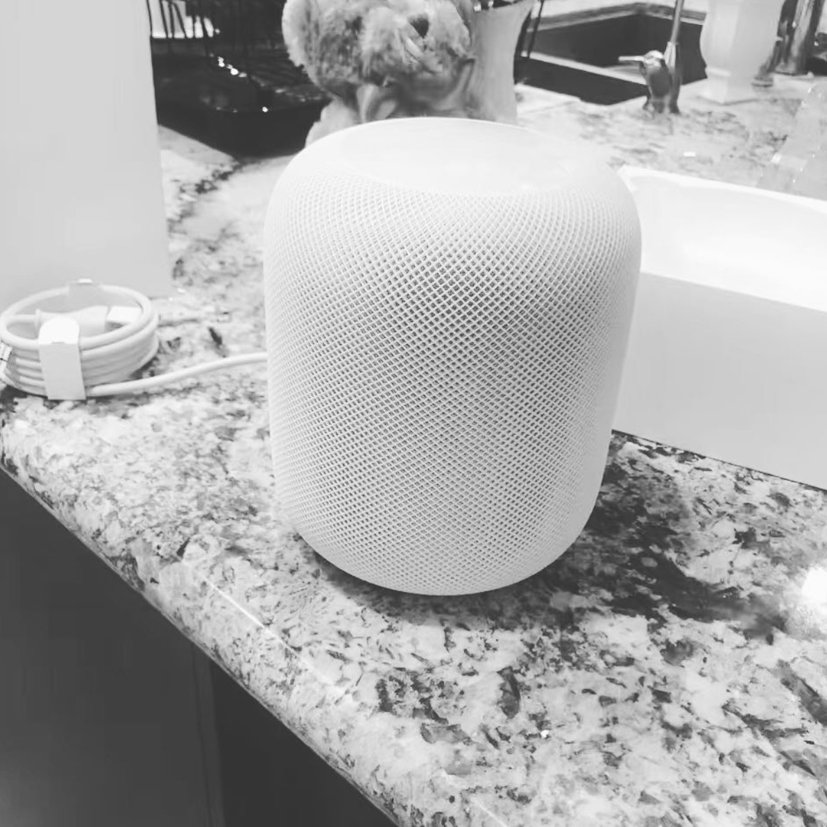 Un HomePod en vadrouille avant sa sortie officielle