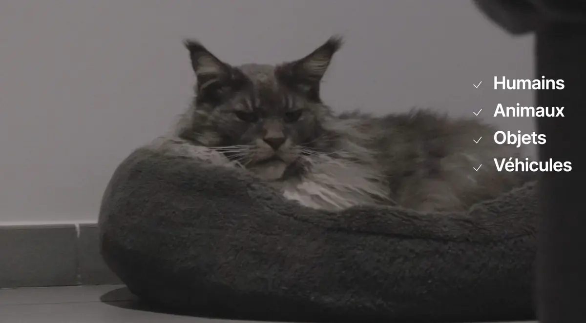 Test du DJI RONIN RS 5&nbsp;: simple &eacute;volution ou r&eacute;volution dans les stabilisateurs l&eacute;gers&nbsp;?