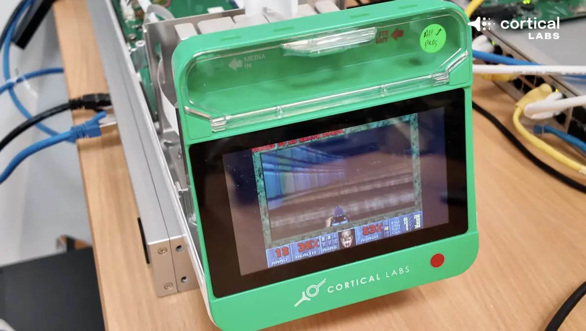 Vous avez d&eacute;j&agrave; vu 200 000 neurones humains jouer &agrave; Doom&nbsp;?