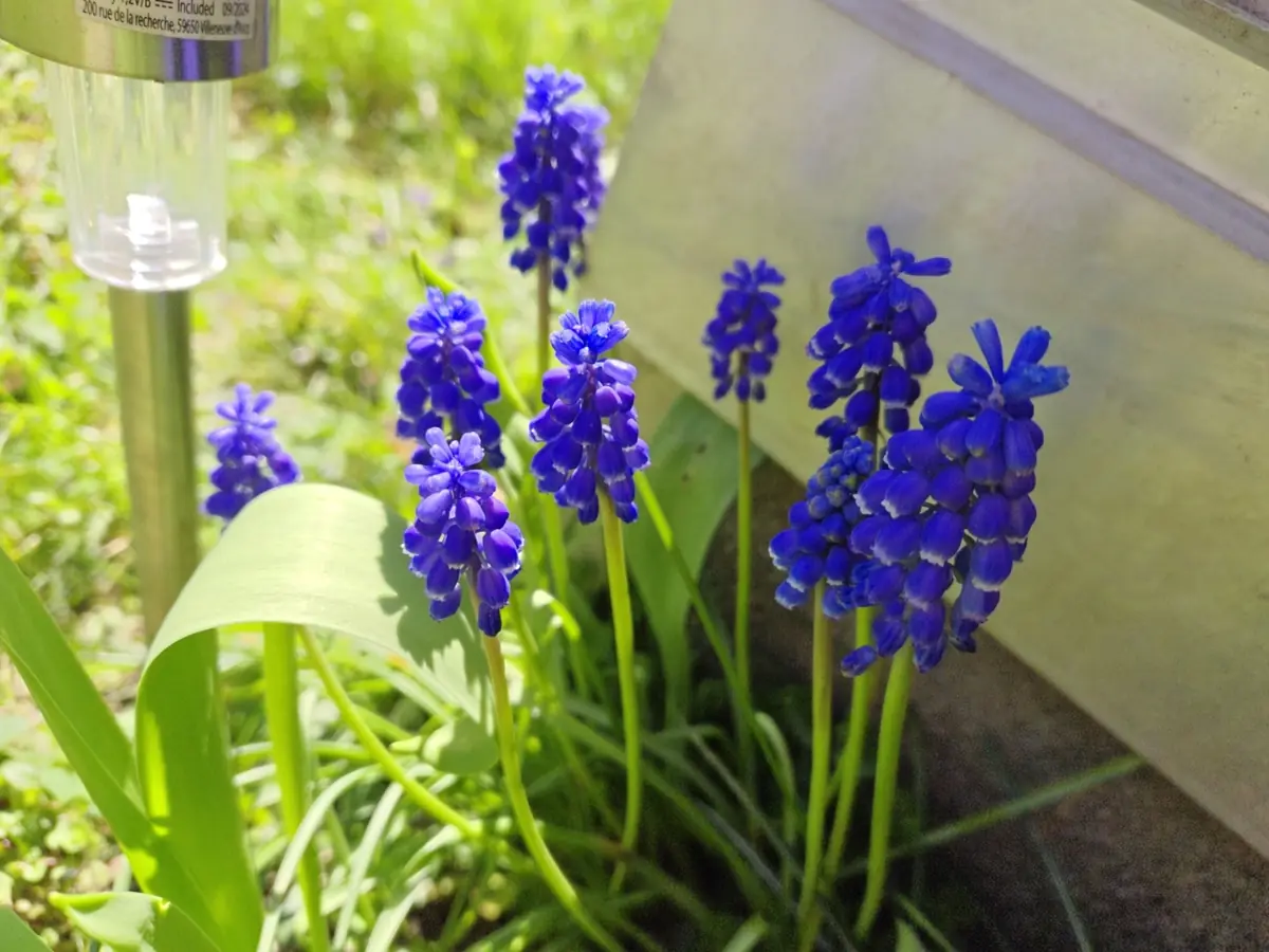 Le capteur principal fait aussi tr&egrave;s bien le job