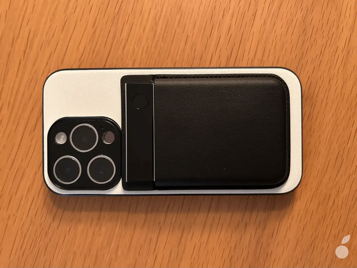 Franchement, cela est aussi joli que discret !