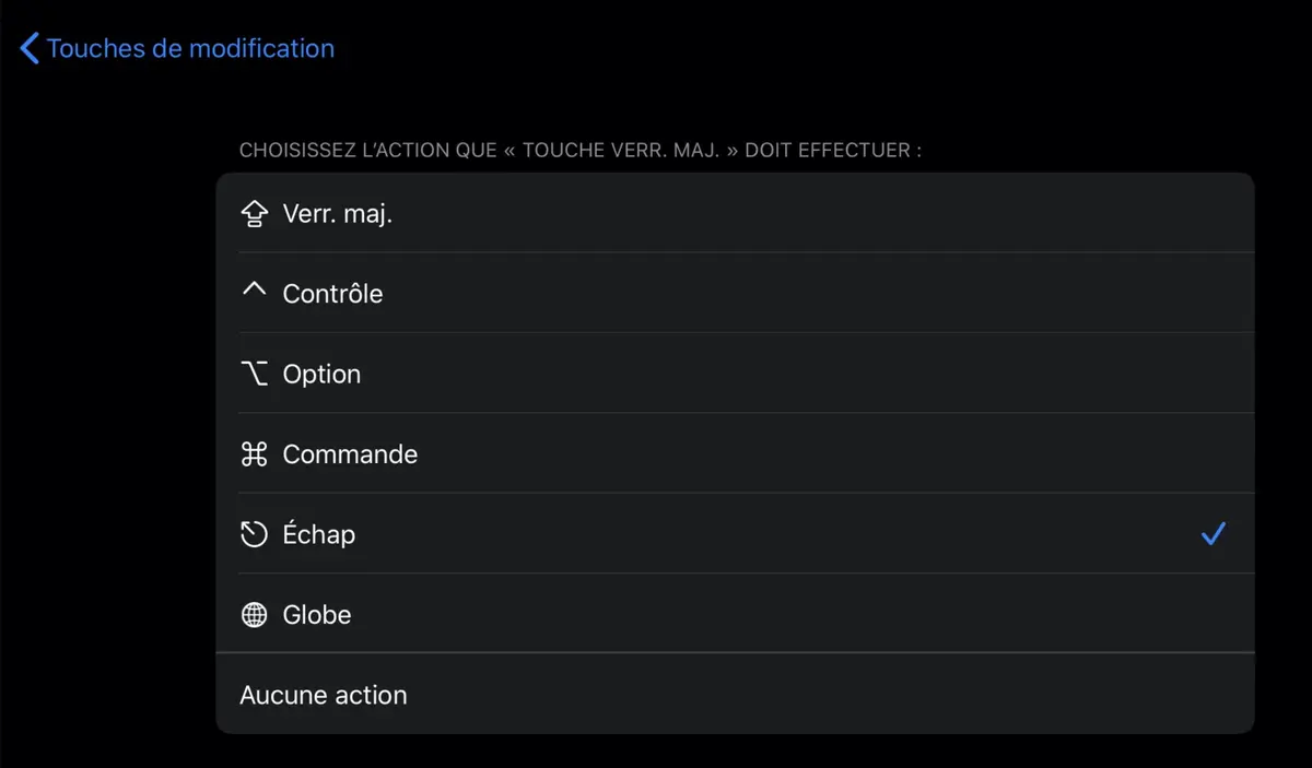 Astuce : comment obtenir une touche ESC sur le Magic Keyboard de l'iPad Pro ?