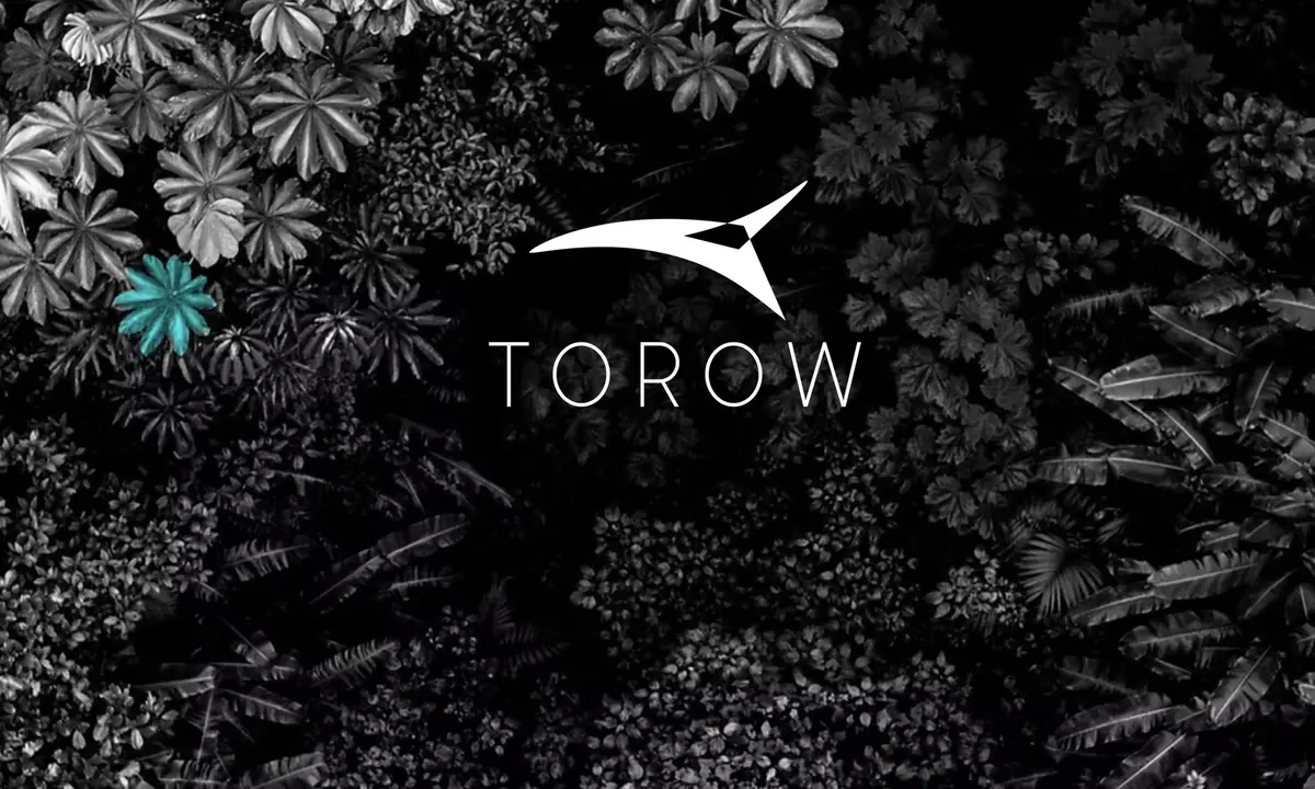 La batterie solide au sodium révolutionnaire sera-t-elle française ? TOROW le promet ! (interview)