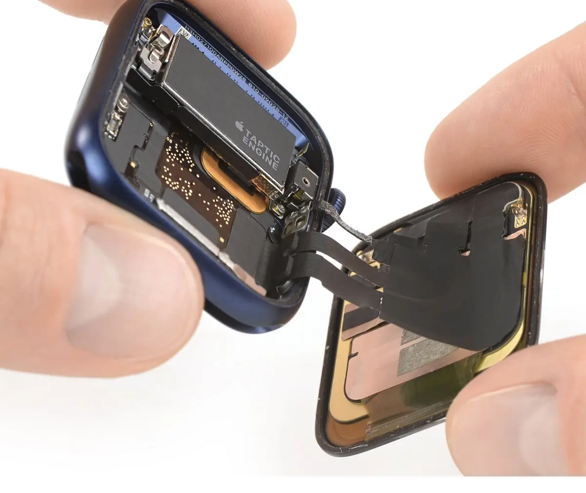 L'Apple Watch Series 6 a une plus grosse batterie (et quelques changements internes)