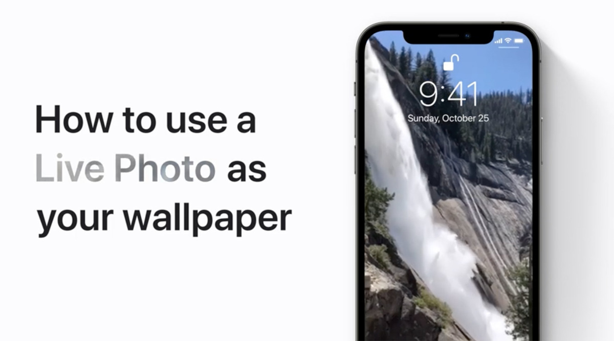 Comment utiliser une Live Photo comme fond d'écran sur son iPhone [vidéo Apple]