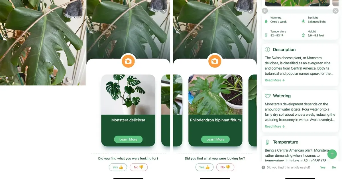 L'app NatureID permet d'identifier et de prendre soin de ses plantes et animaux