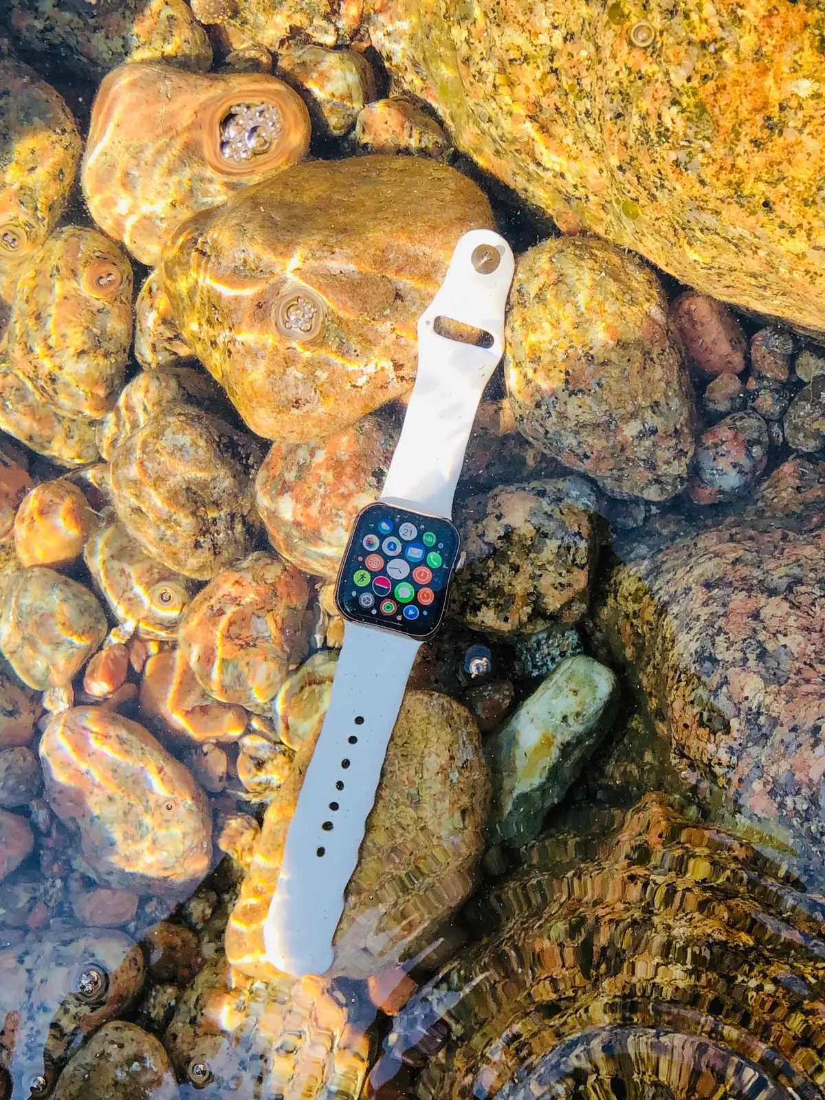 Témoignage : l'Apple Watch, compagnon idéal d'un plongeur aguerri !