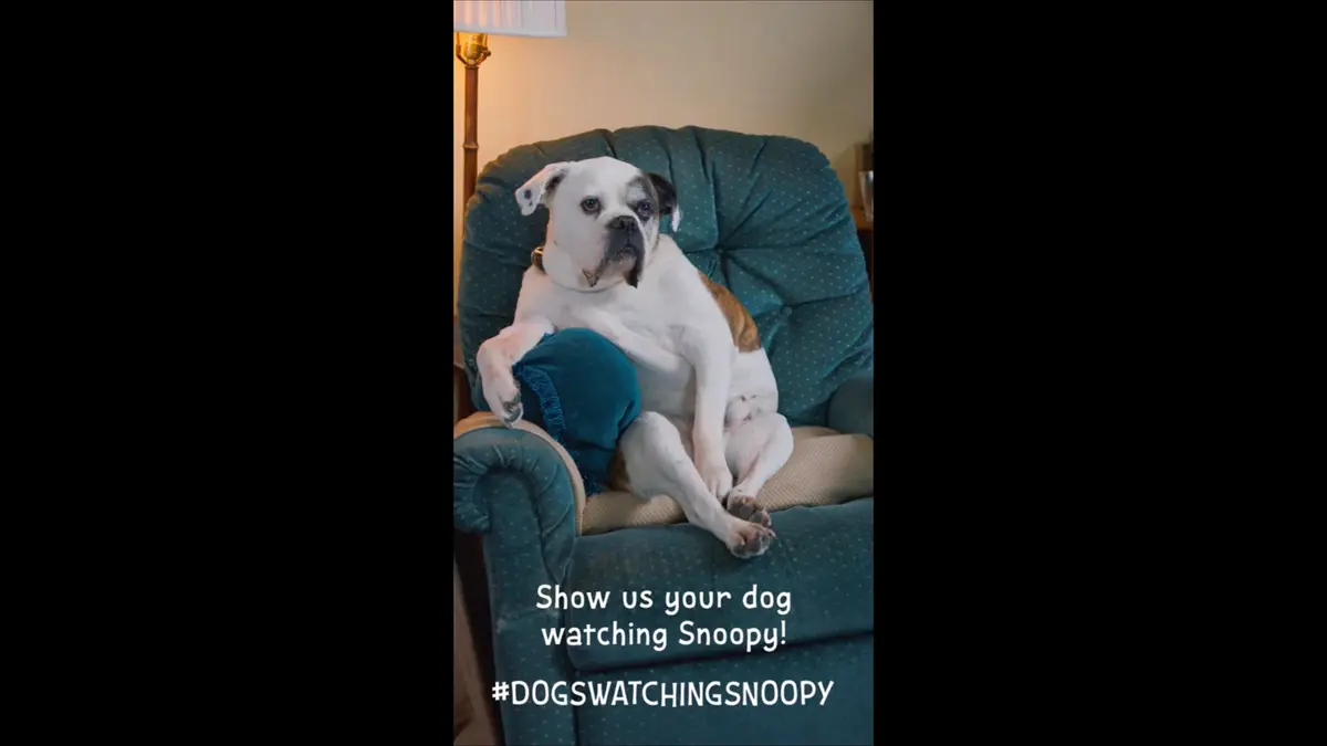 אתגר: אפל מציעה לצלם את הכלב שלה מול סנופי #DogsWatchingSnoopy