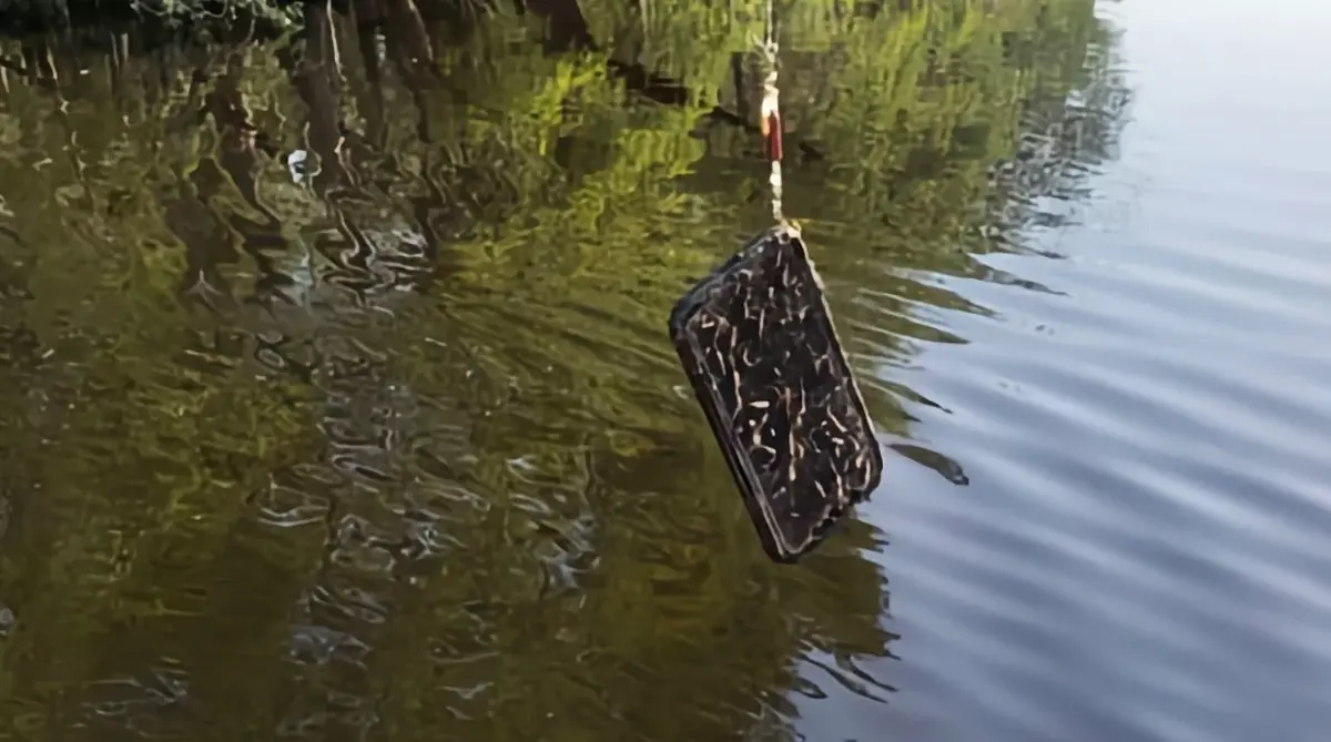 Insolite : la pêche à l'iPhone cartonne cet été ! [avec ou sans MagSafe]