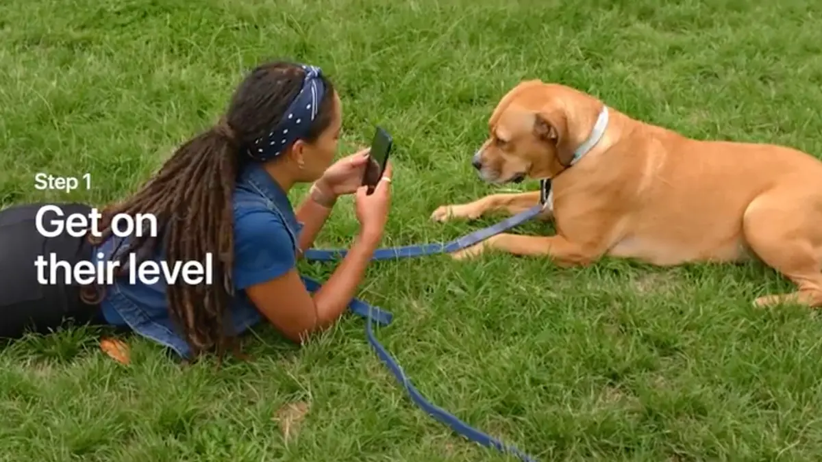 Today At Apple : comment réussir la photo de son animal de compagnie avec un iPhone