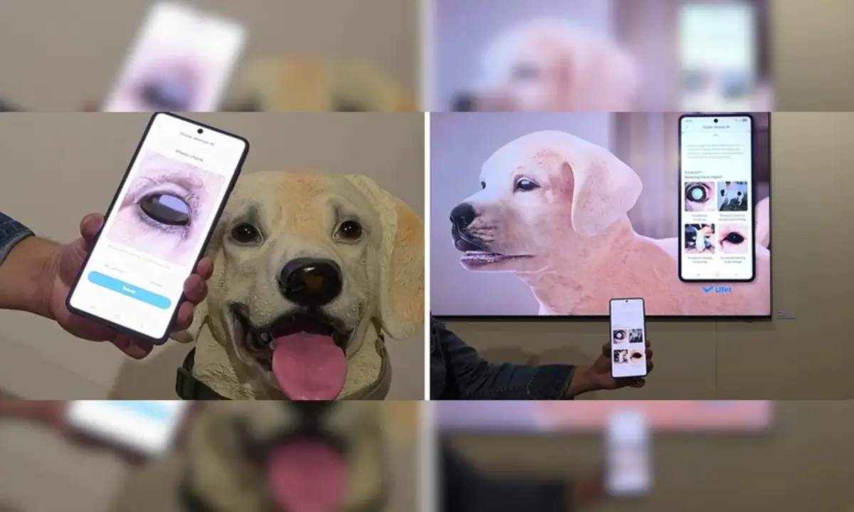 Samsung veut rep&eacute;rer les soucis de sant&eacute; de votre chien avec une simple photo