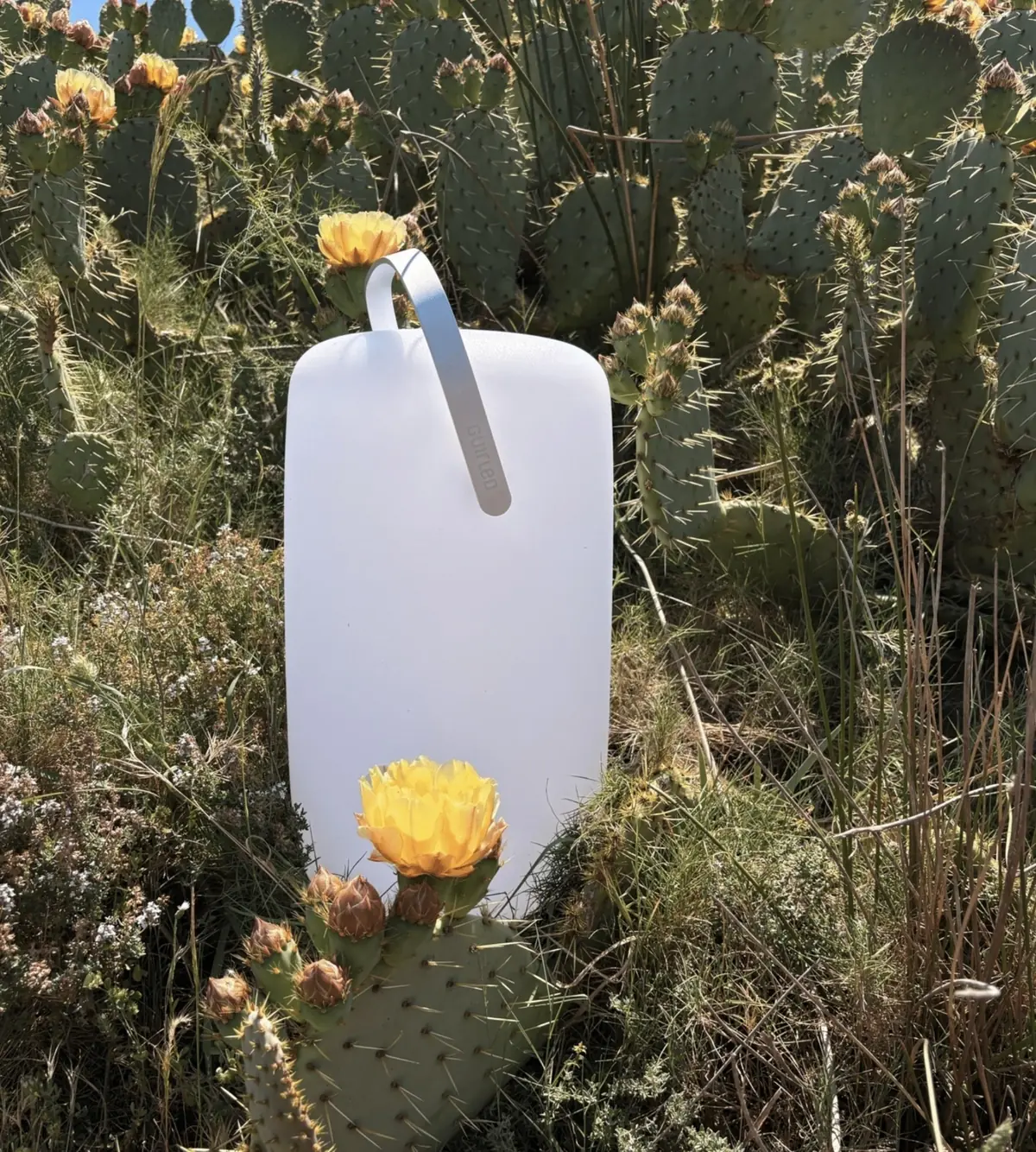 Test de la Lampe Nomade Solaire Guirled avec panneau invisible, parfait pour les soir&eacute;es d&rsquo;&eacute;t&eacute;&nbsp;?