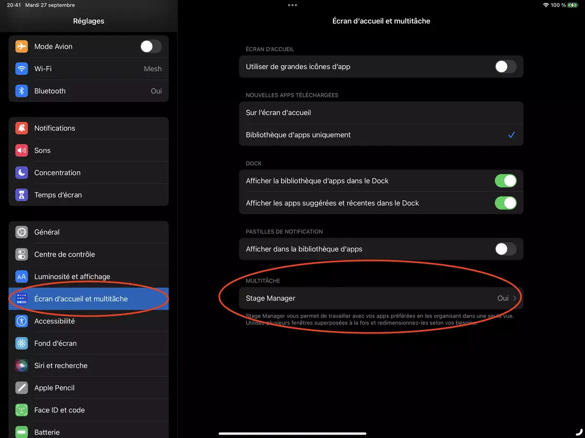 iPadOS 16 : comment activer Stage Manager sur un iPad Pro 2018/2020