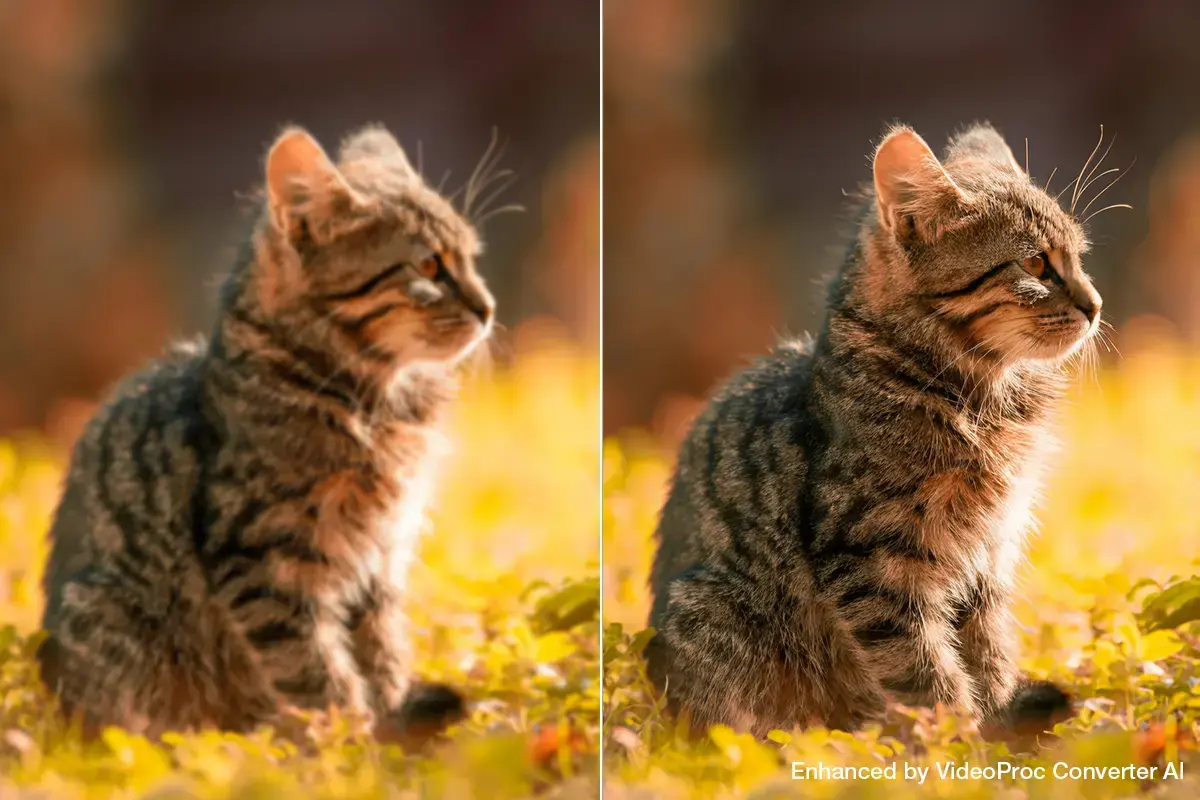 VideoProc Converter AI&nbsp;: redonnez vie &agrave; vos souvenirs en 4K sur Mac pour - de 35&euro; (offre de P&acirc;ques)