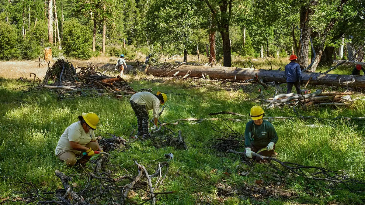 Apple finance le reboisement du Parc National de Yosemite !