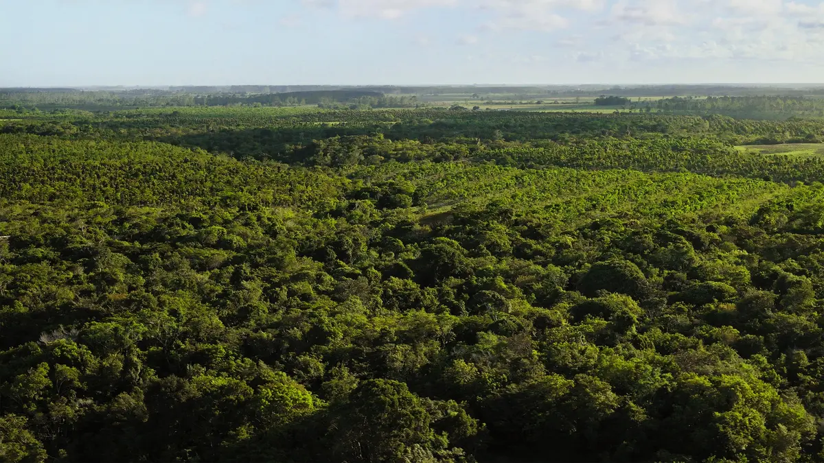 Apple veut décarboner la planète (mais se défend de tout greenwashing)