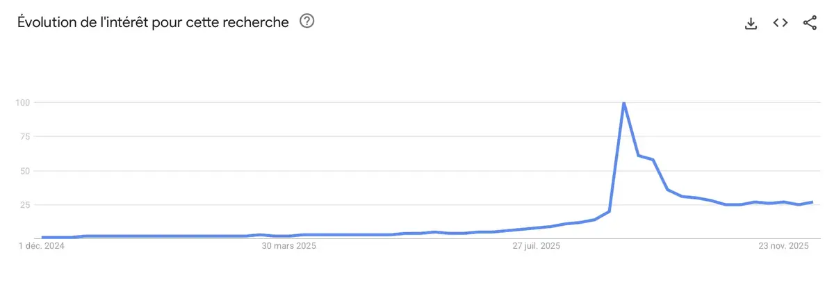 Tendances Google 2025 : ce que les Français ont le plus recherché !