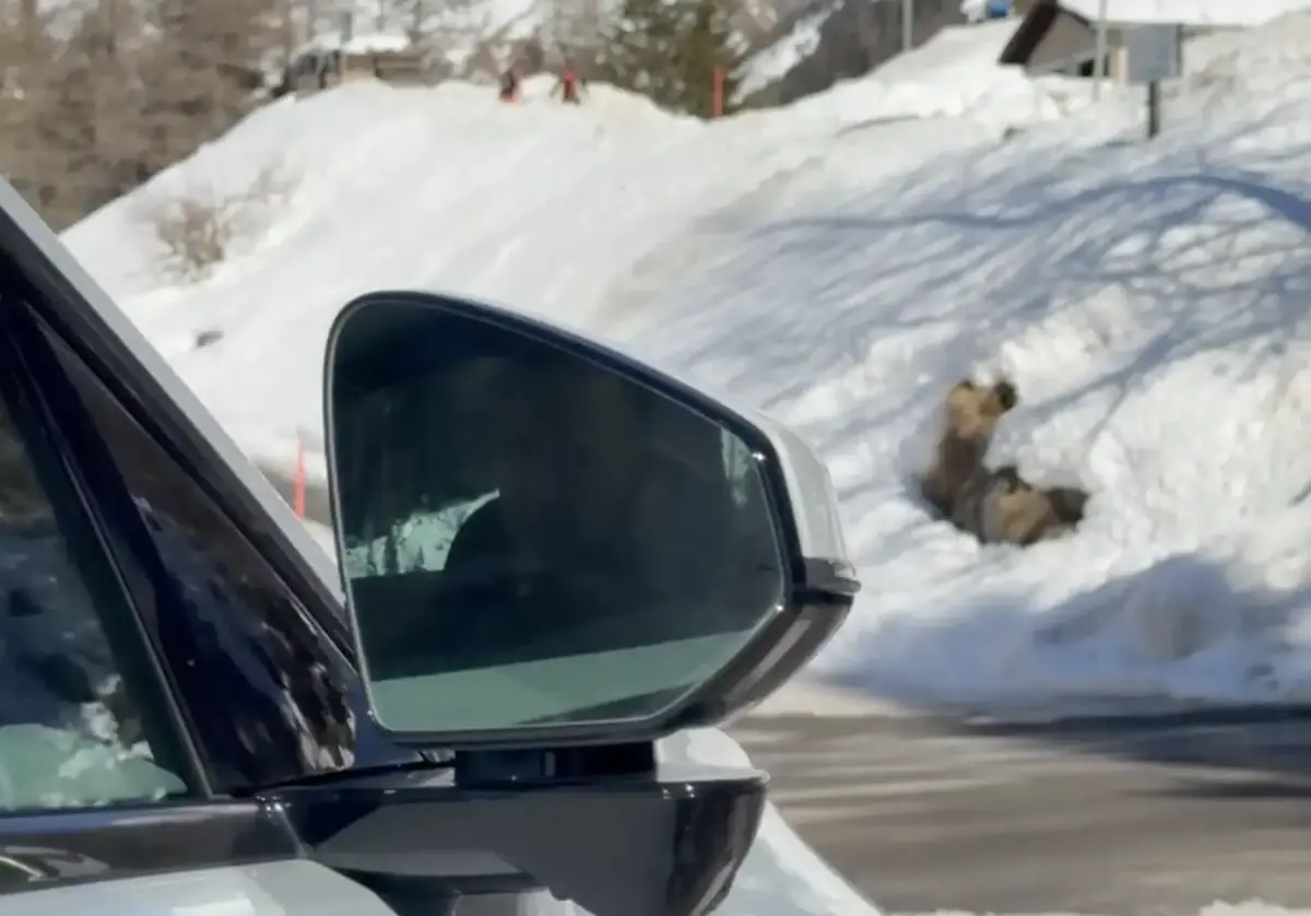 Adieu Tesla&nbsp;? Trois mois en Polestar 4 Long Range Single Motor&nbsp;!