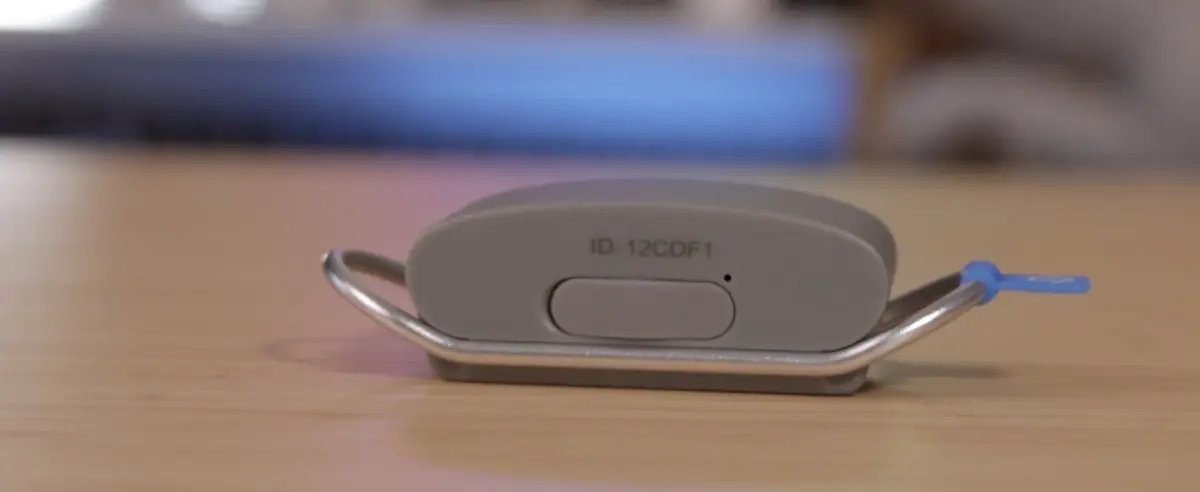 Petit test de l'Invoxia Biotracker&nbsp;: pour ne plus perdre son chien et surveiller sa sant&eacute;