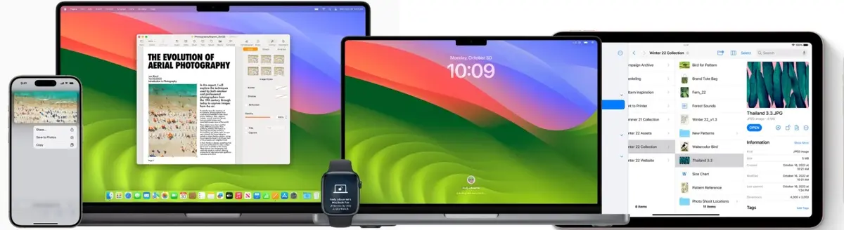 iOS 17.3, iPadOS 17.3, macOS Sonoma 14.3, watchOS 10.3 ו