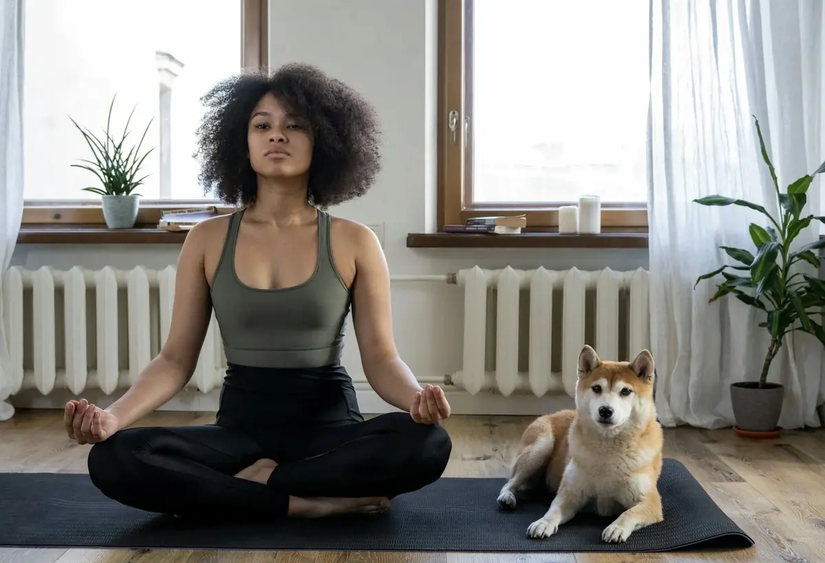 Pourquoi parler (ou non) politique est parfois si compliqué sur Mac4Ever ?