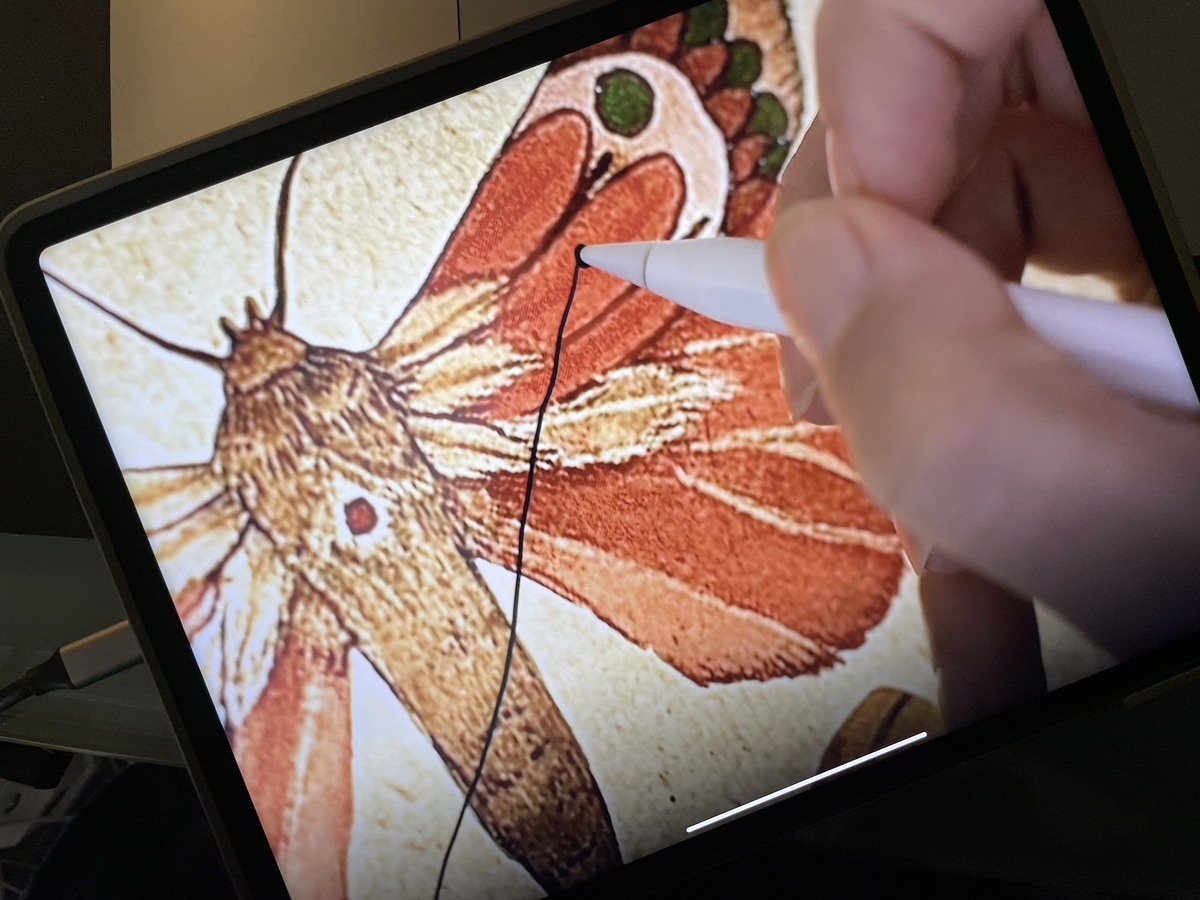 Notability permet d'utiliser l'Apple Pencil pour des dessins vectoriels sur l'iPad