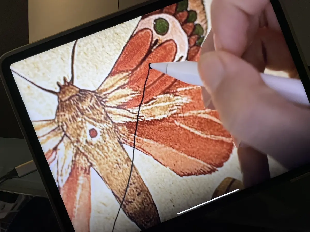 Notability permet d'utiliser l'Apple Pencil pour des dessins vectoriels sur l'iPad