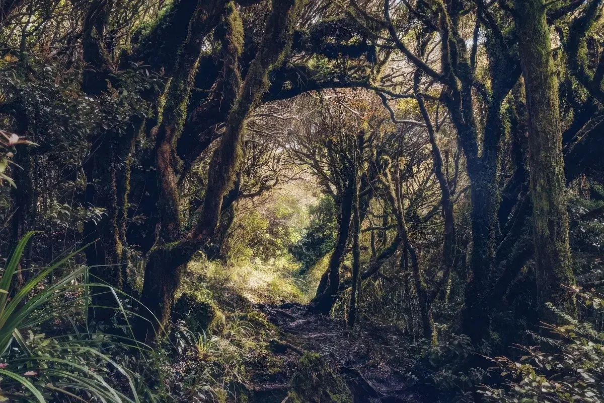 La forêt des Gobelins, je n'aimerais pas m'y perdre franchement