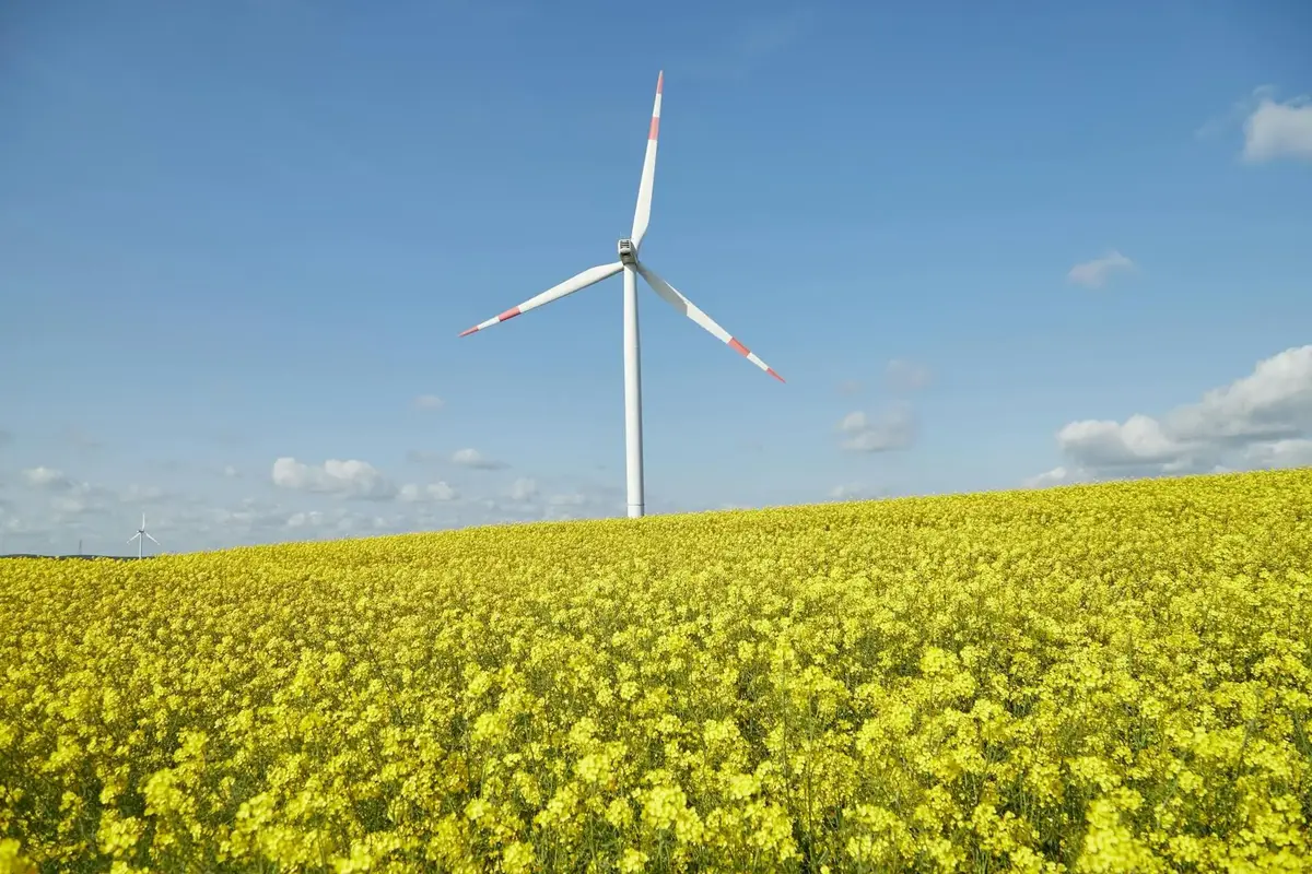 Votre facture d’électricité pourrait baisser dès février 2025